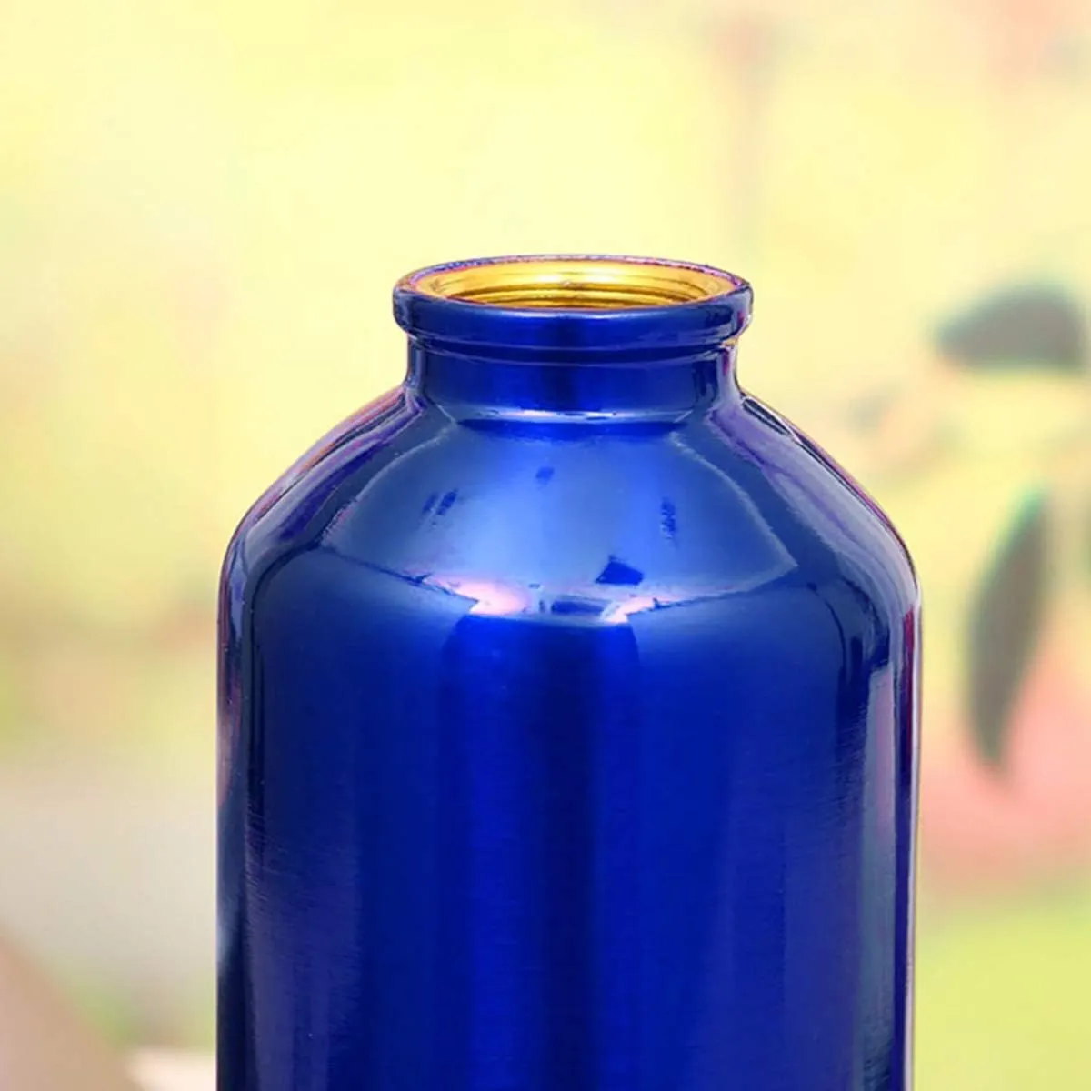 Aluminum Water Bottle - Narrow Mouth Sport Water Bottle with Screw Lid Looped, Vacuum Insulated & BPA Free, Portable Outdoor Water Bottle