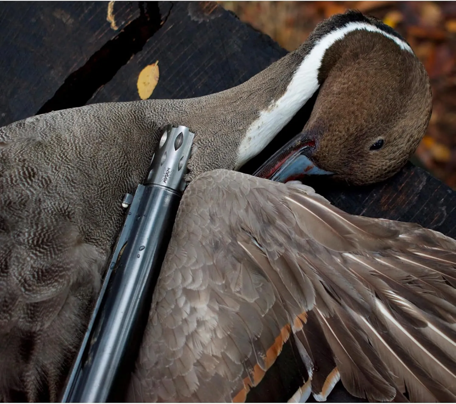 Avian-X Waterfowl Crusher Rugged Durable High-Strength Steel Black PVD Finished Duck Hunting Choke Tube with Wide Groove Technology - Light/Heavy Mod Options