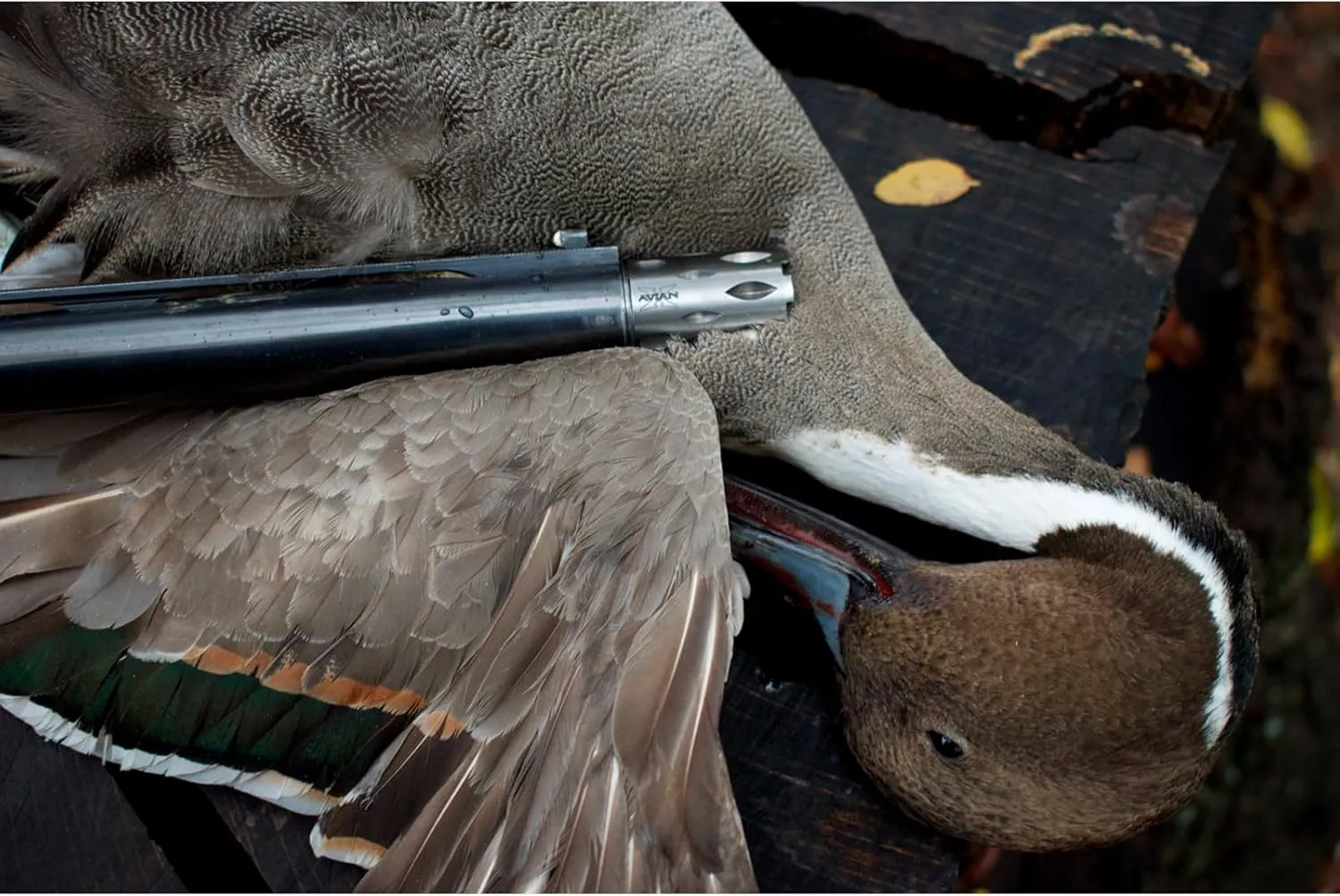 Avian-X Waterfowl Crusher Rugged Durable High-Strength Steel Black PVD Finished Duck Hunting Choke Tube with Wide Groove Technology - Light/Heavy Mod Options