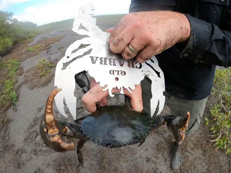 Crabba Crab Measuring Control Tool (Queensland)