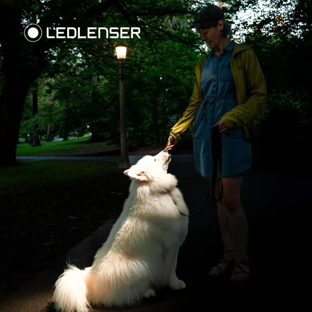 Ledlenser HF4R Core Rechargeable 500 Lumen LED Head Torch - Lightweight, Super Bright, Ideal for Running, Hiking, Camping, Fishing, Includes Red Light and USB C Charger, Essential Outdoor Equipment