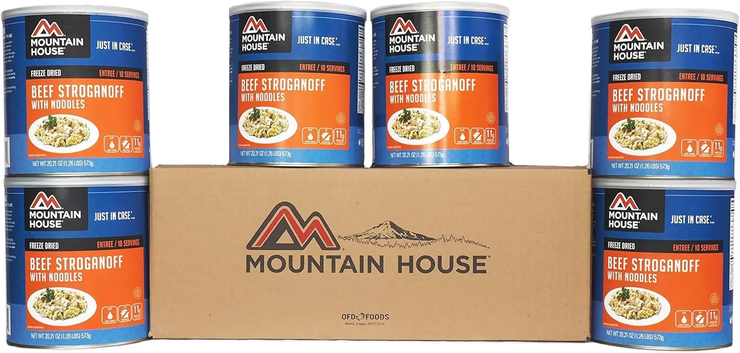 Mountain House Beef Stroganoff with Noodles | Freeze Dried Backpacking & Camping Food