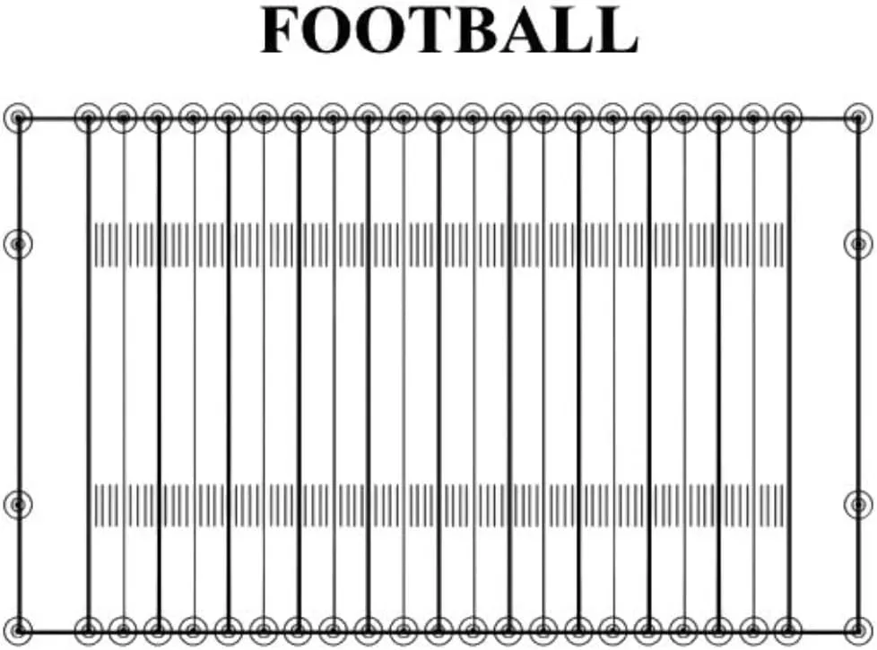 Newstripe Athletic Field Layout Systems | Kits for Football, Baseball, Soccer & Other Sports | Durable Nylon Markers | Perfect for Striping Straight Lines | Reuse Year After Year | Made in USA