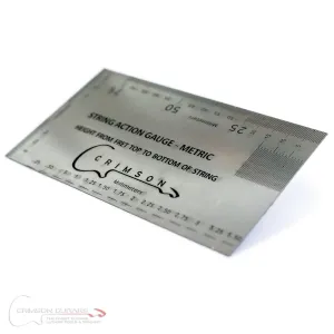 String Action Gauge
